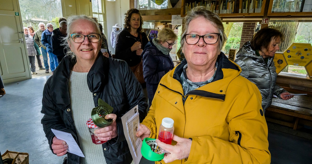 Jacht op Aziatische hoornaar is geopend: inwoners staan massaal in de rij voor gratis val