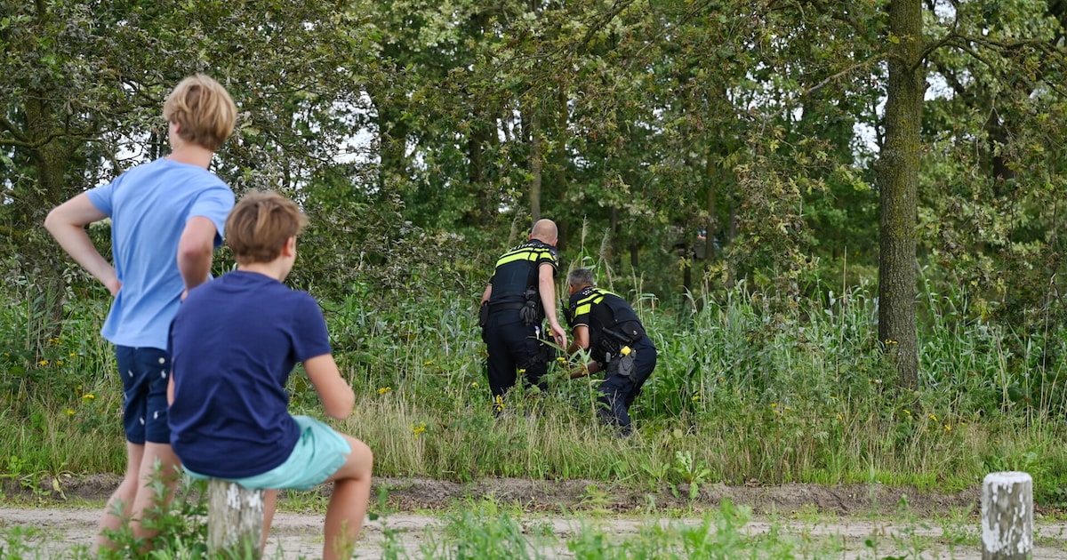 Jongens slaan alarm na vondst dode vrouw in water bij Haghorst