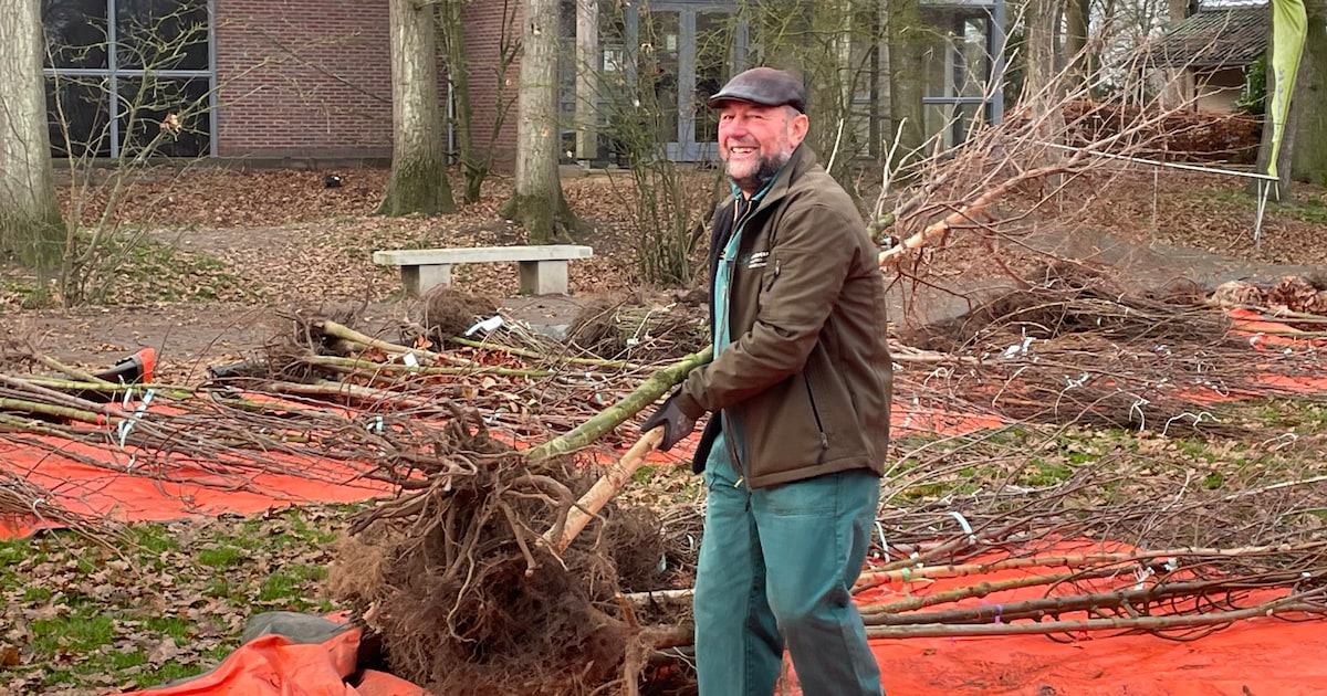 Wierden wordt groener met ruim 3000 nieuwe bomen en struiken