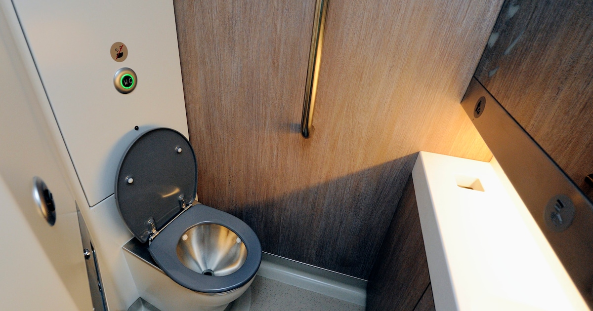 Politie houdt agressieve treinpassagiers (22 en 24) aan na bedreigen conductrice en vernielen deur