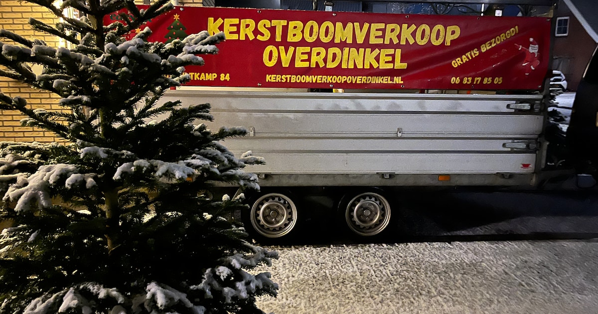 Deze Twentse kerstboomverkoper stopt ermee door prijsstijgingen: ‘Ik wil niet nóg meer vragen’