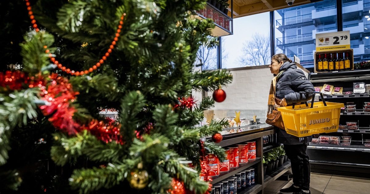 Kerstboodschappen doen? Deze supermarkten in Rijssen-Holten zijn op tweede kerstdag open