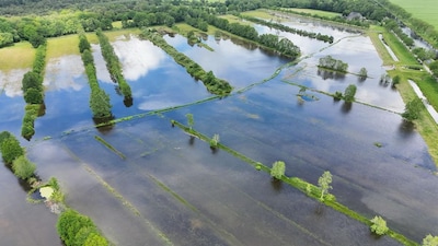 Natuurgebied loopt onder water door storing, nesten broedvogels spoelen weg