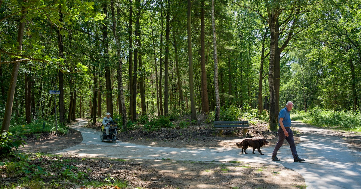 Zie je dit betonpad in de Veluwse natuur? Dat had er dus nooit zo mogen liggen...