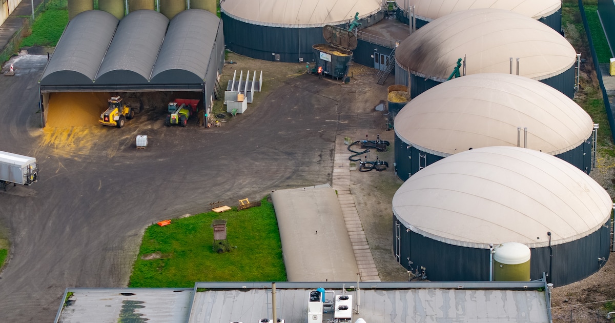 Overijssel krijgt rechter niet mee bij opeisen van 3 miljoen euro van mestvergister