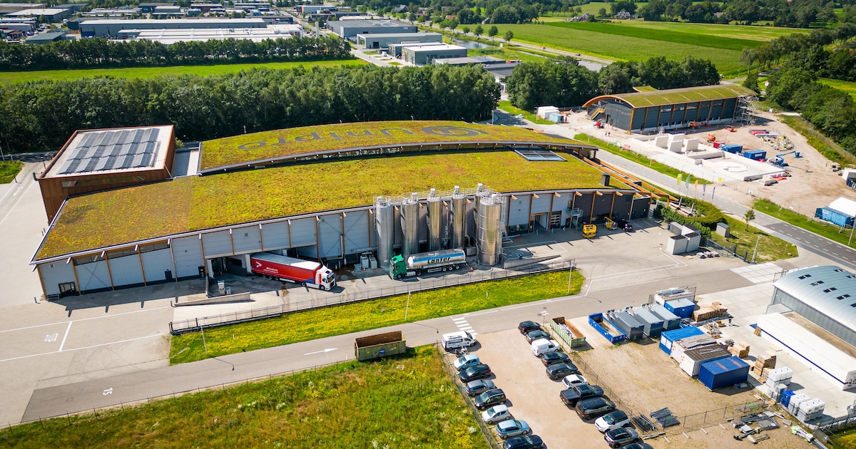 Vloerenproducent mag toch een toren van 42 meter bouwen, maar die moet wel heel stil zijn