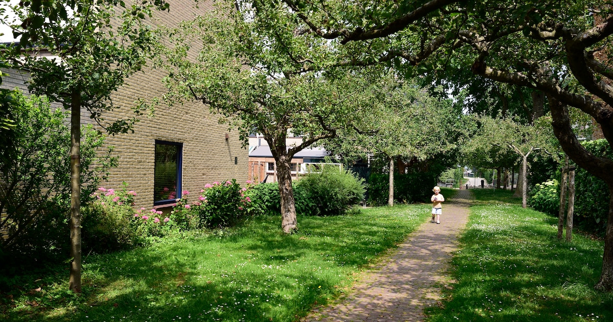 haaksbergen-stopt-met-verkoop-en-verhuur-snippergroen-dit-is-waarom