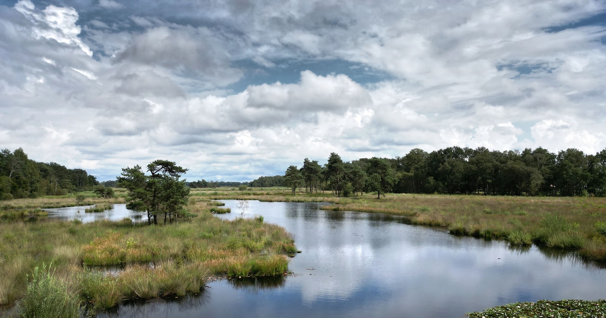 Inloopbijeenkomst over natuurherstel Haaksbergerveen