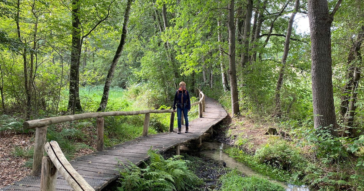 De oktoberroute door Springendal: stiltemeditatie met vallende eikels ...