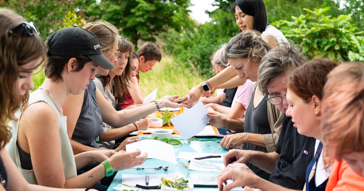 Workshops, performances en open studio’s tijdens Tekentuin in Diepenheim