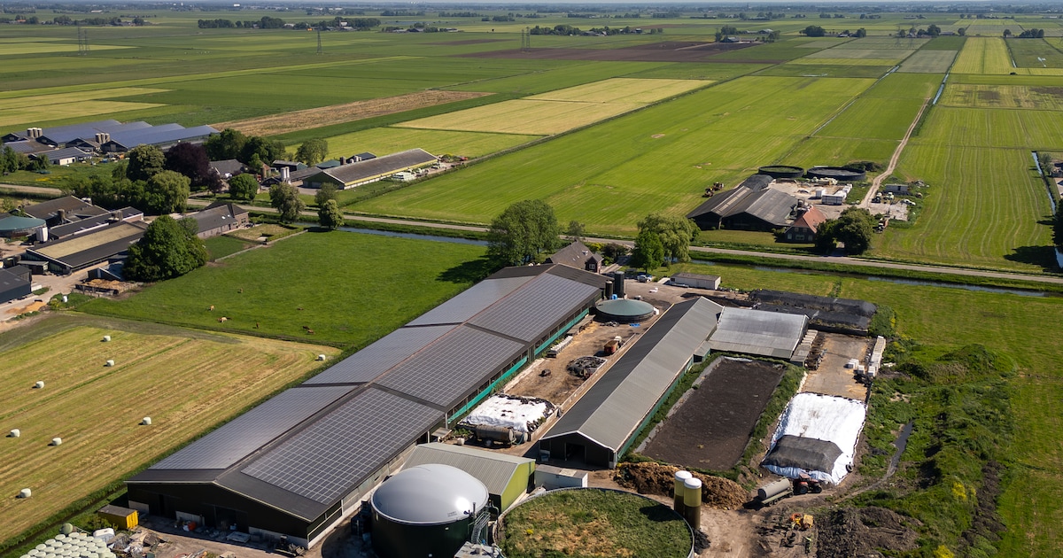Familietragedie gaat schuil achter juridisch getouwtrek rond deze boerderij: ‘Kippenvel van haar ver