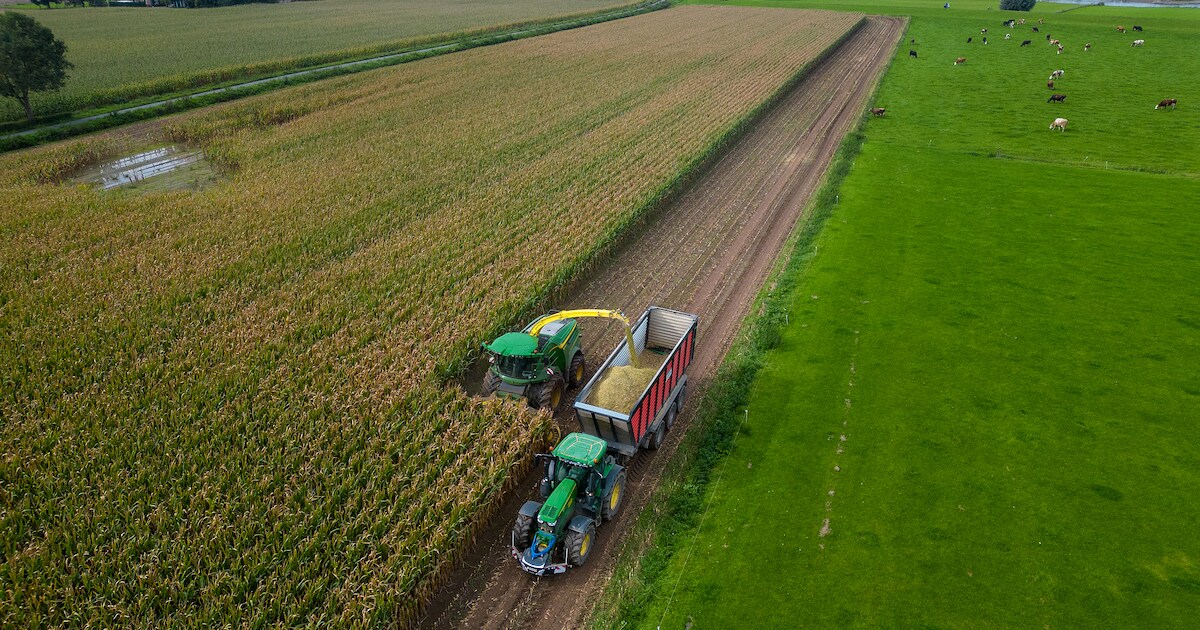 Drukker op het land, drukker op de weg: topdrukte voor boeren vanwege maisoogst