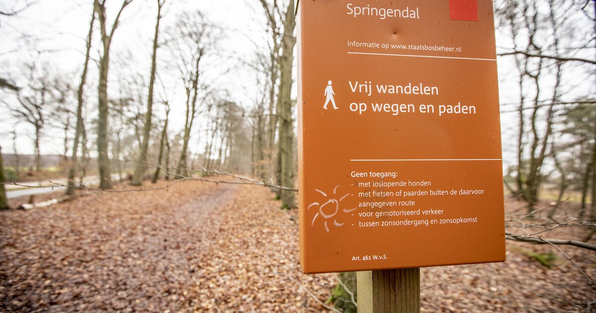 Eindelijk de weg weer vinden in het Springendal in Vasse