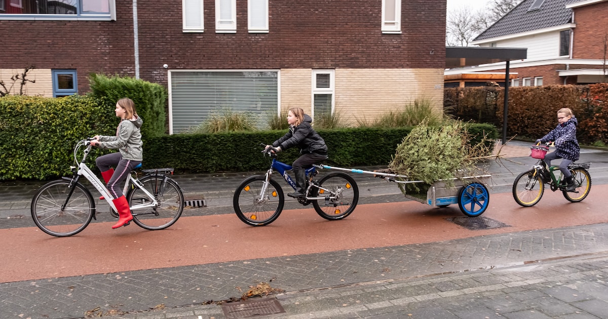Inzameling kerstbomen en vuurwerkafval in Bronckhorst verplaatst