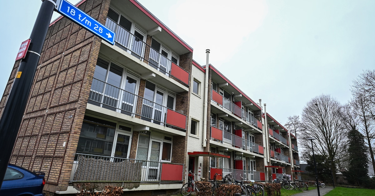 Hengelo over ‘gettoflats’ Theresiastraat: ‘Ze misbruiken hun mening voor meer geld’