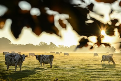 In Twente zijn mensen uit Tubbergen het gelukkigst (en inwoners van Enschede het minst)