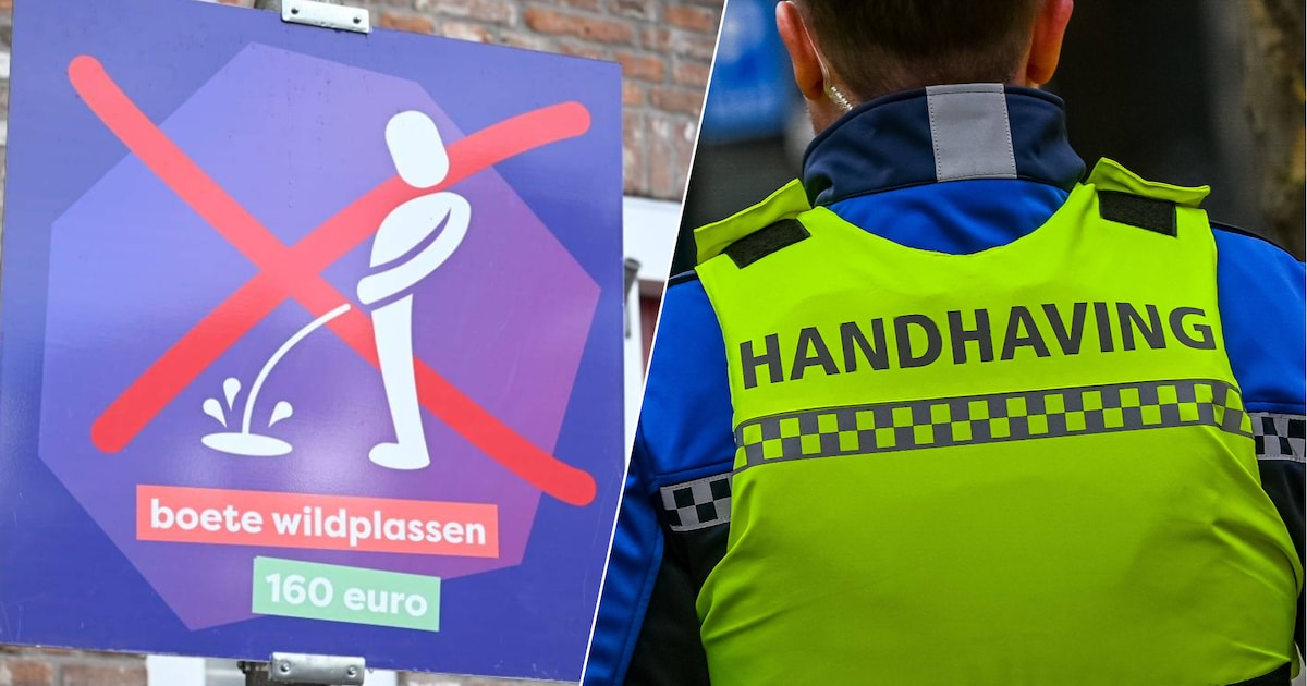 Wildplassen loopt uit op worsteling met boa’s: man (28) krijgt taakstraf en moet 1100 euro betalen