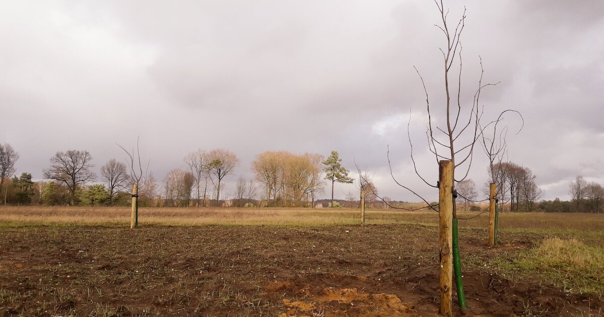 Nieuwe natuur Springendal in Hezingen is monnikenwerk