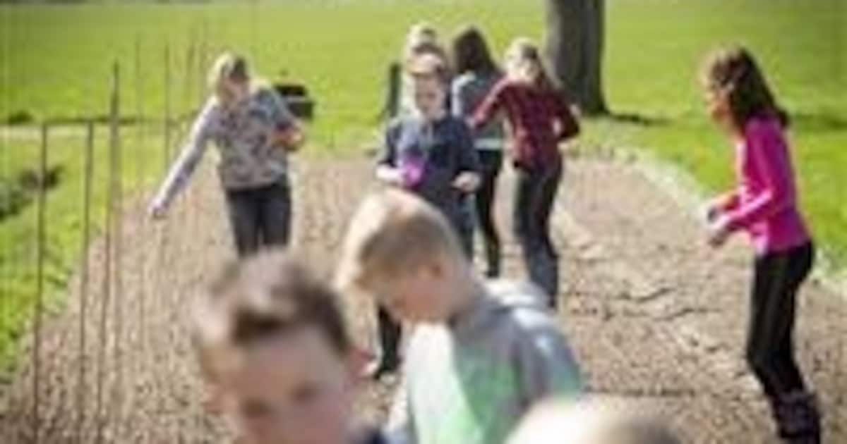 Jeugd Saasveld zaait voor 'de vlinder en de bij’