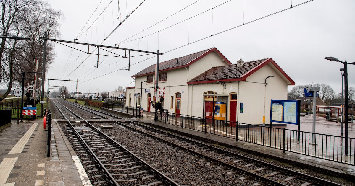 Gemeente verwijdert foutgestalde fietsen bij station Holten