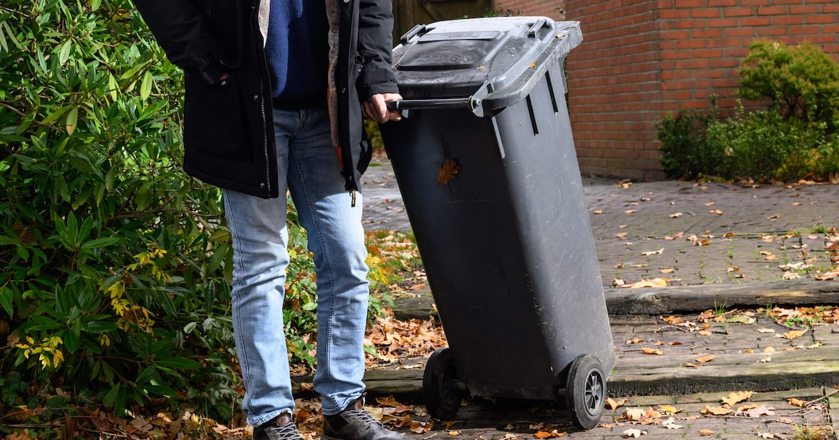 In Haaksbergen zetten mensen 'straffeloos' meerdere grijze afvalbakken aan de straat
