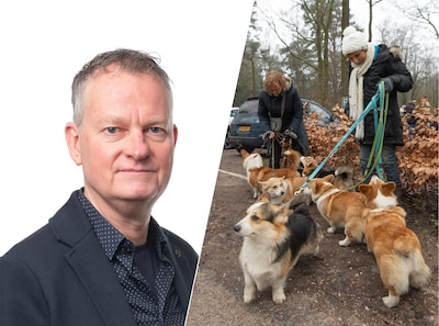 Moet ik een hond op het zebrapad voorrang geven?