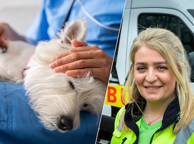 Zwaargewonde hond overlijdt in dierenambulance in Enschede, Lotte brengt daarna het hartverscheurende nieuws