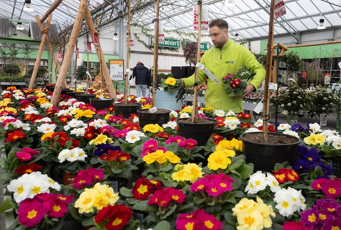 Tuinliefhebbers opgelet: Intratuin Duiven verrast met grote Disney ...