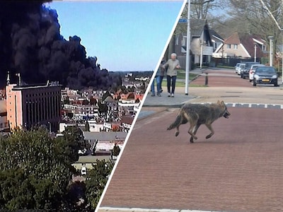 Het jaar 2025 in beeld: deze video’s uit Twente bekeken jullie massaal