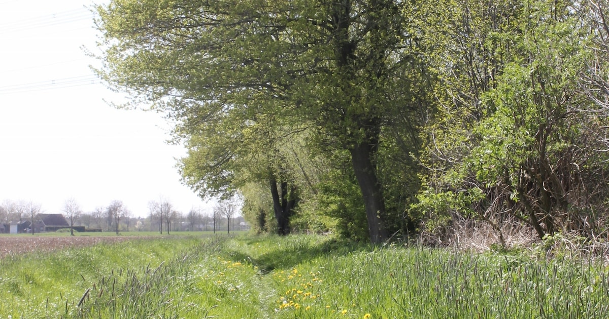 Klimaatwandeling tussen Doetinchem en Wehl