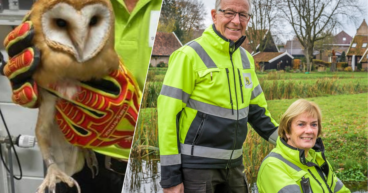 Als Theo en Heleen denken dat kerkuil in Oldenzaal is overleden, beweegt hij opeens zijn koppie