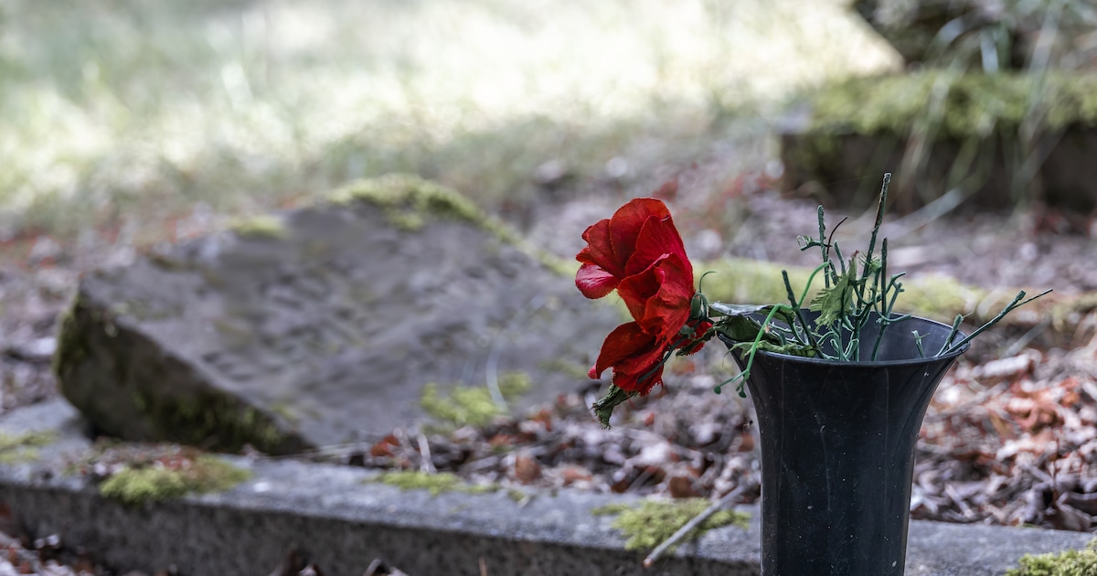 Gemeente vraagt nabestaanden kerststukjes van graven te halen