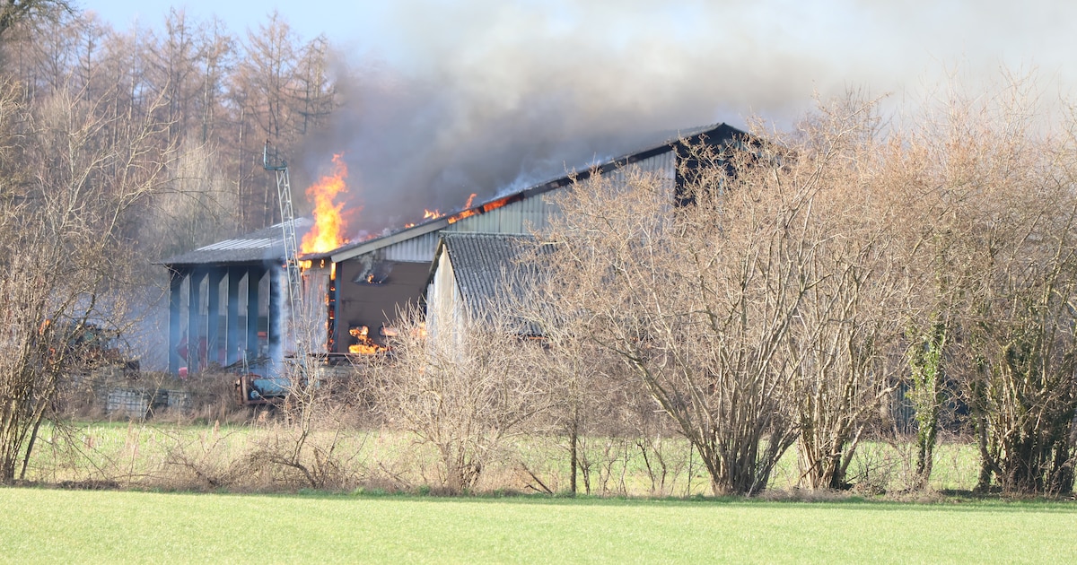 Grote zwarte rookwolken bij brand in boerderij in Lochem