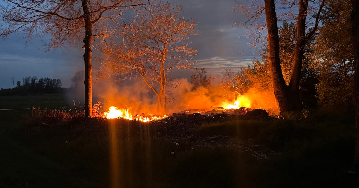 Stuk natuur in brand aan de Maneschijnsweg in Holten