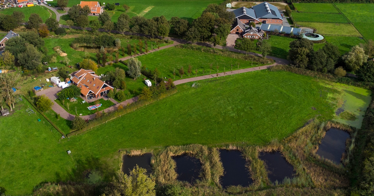 Rechter geeft groen licht: Hof van Twente mag illegale wallen en vijvers wegbulldozeren