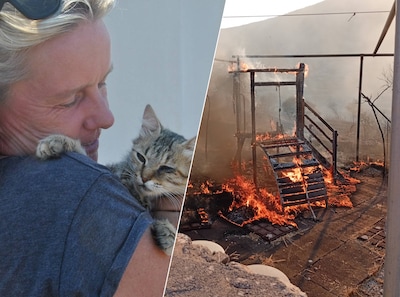 Verwoestende bosbrand teistert Grieks eiland, Achterhoekse stichting helpt opvang van 300 dieren: 'Ze hebben helemaal niks meer'