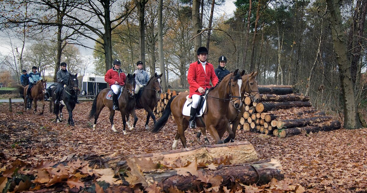 Te paard door weilanden en over zandpaden in Harbrinkhoek
