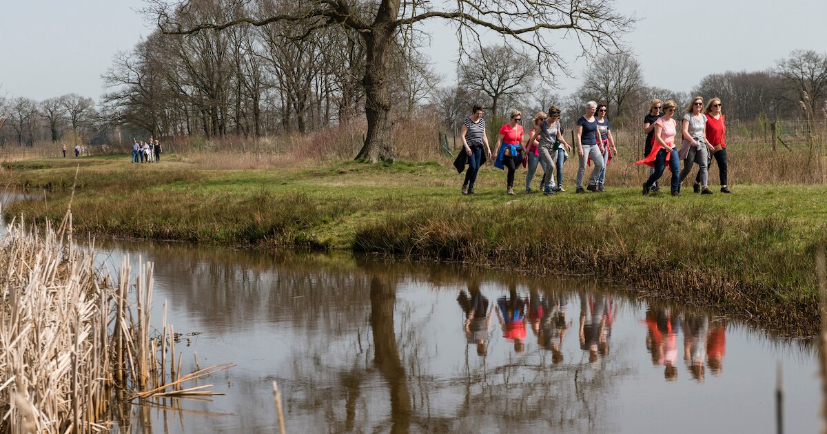Controleur wandelroutes onder de indruk tocht vanuit Harbrinkhoek langs beek Markgraven