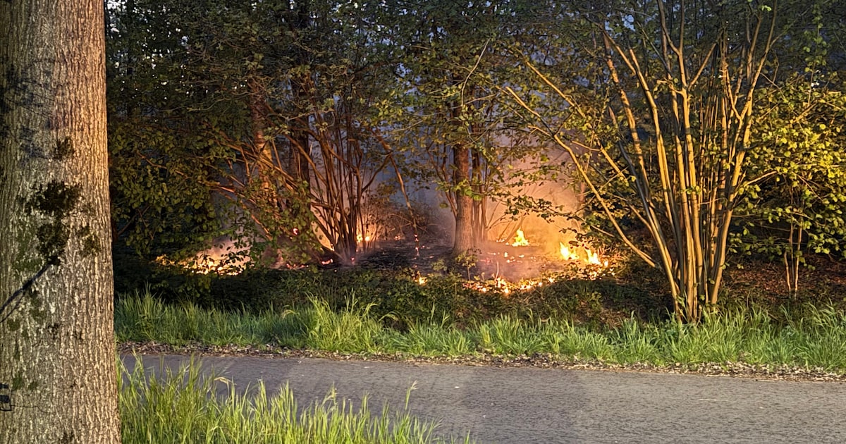 Brand in bos aan Larenseweg in Holten snel onder controle