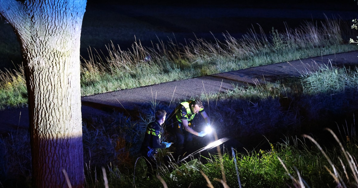 Dronken Hengeloër (20) probeert te vluchten na zware aanrijding met fietsster (27), omstanders grijp