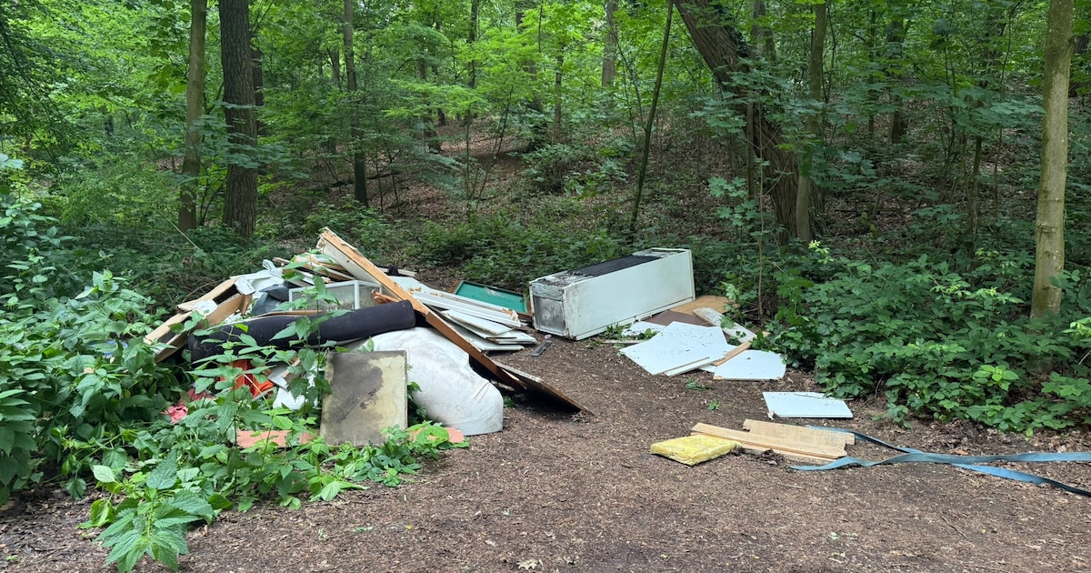 Bad, koelkast en biljart in bos: dumper niet meer te achterhalen