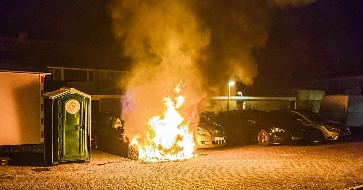 Geparkeerde auto volledig verwoest door brand