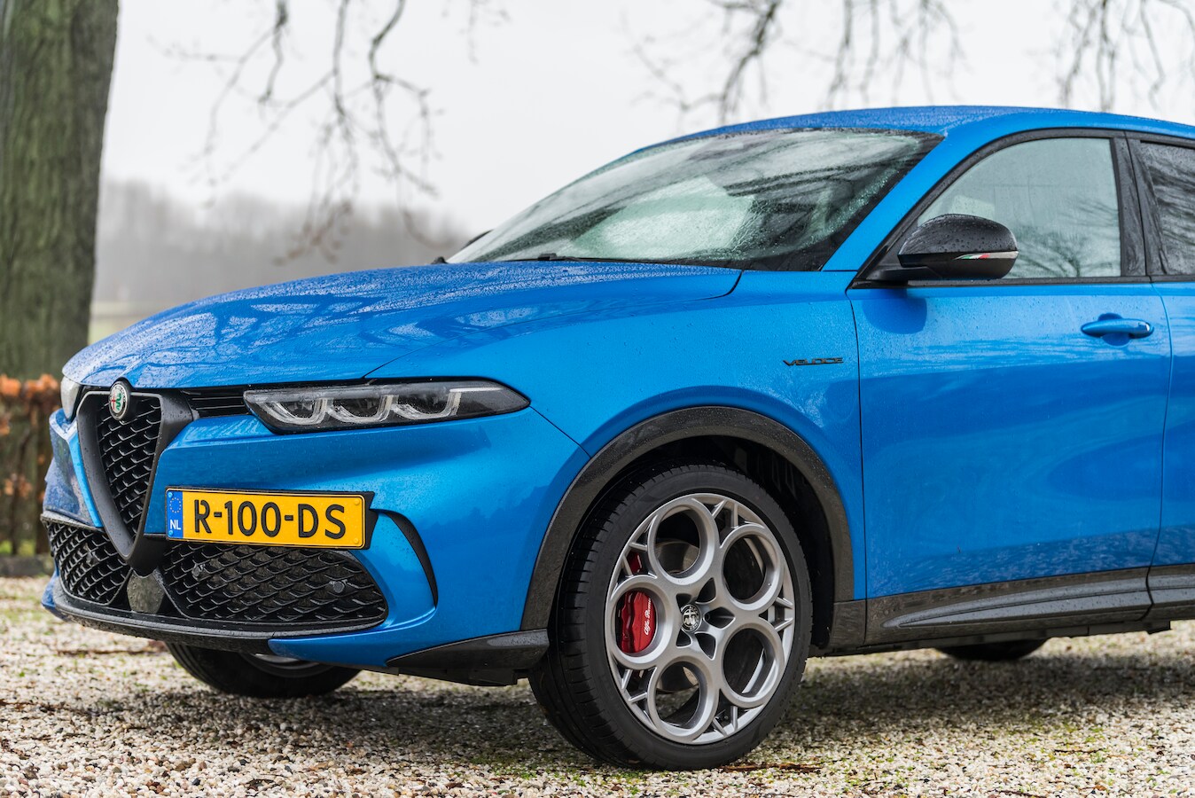 Test Alfa Romeo Tonale: eindelijk weer een teken van leven | Foto ...
