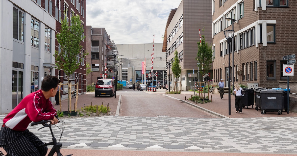 Huurder is gevaar voor openbare orde in Enschede: ‘Man moet woning uit’
