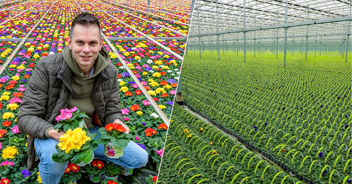 Klaar met het koude, natte weer? Op deze Twentse vierkante kilometer over de grens is het al lente