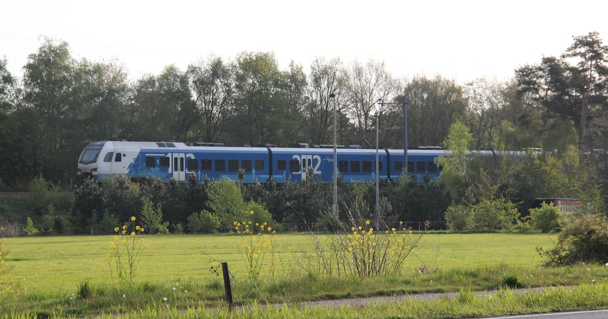 Geen treinverkeer tussen Nijverdal en Raalte na aanrijding