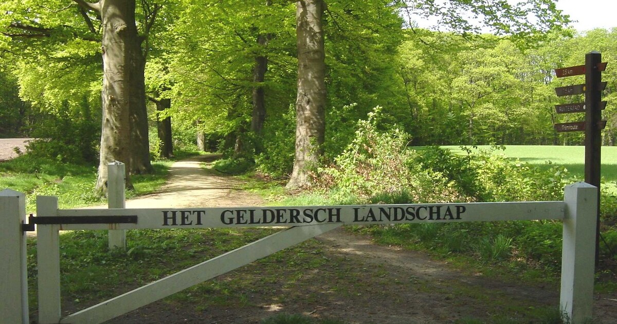 Zomeravondwandeling in Hagen biedt natuurbelevenis