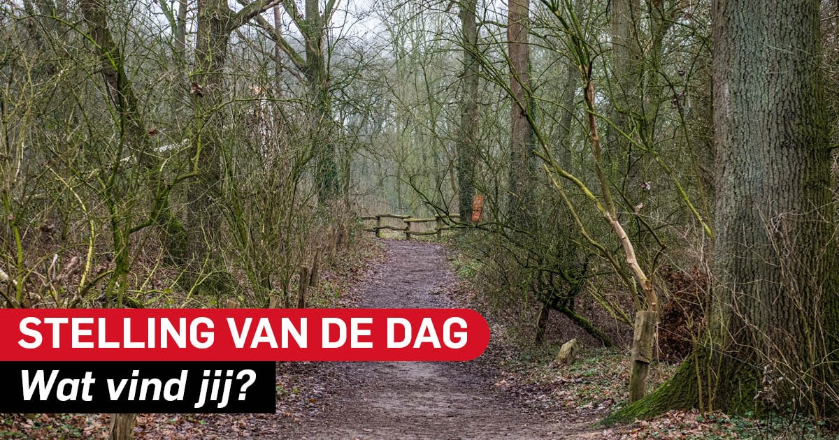 Stelling | De politie en gemeente moeten de illegale begrafenis in De Lutte door de vingers zien