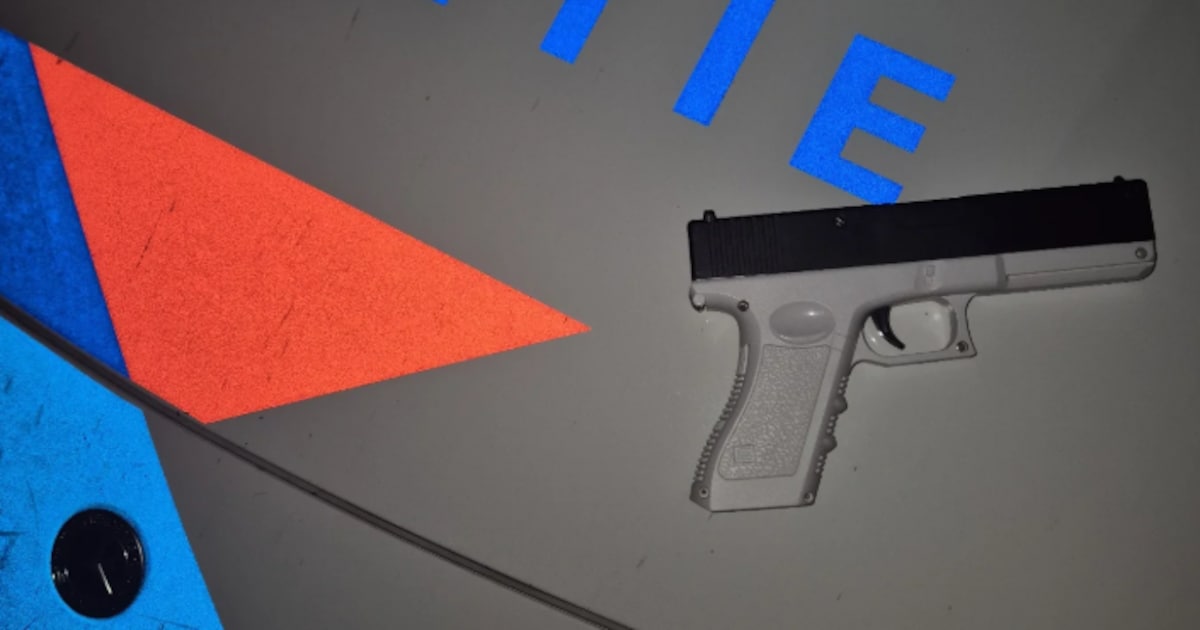 Agent in Middelburg trekt dienstwapen om waterpistool