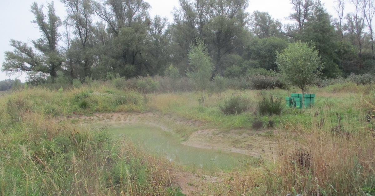 Fietsexcursie naar Park Het Laar in Warm